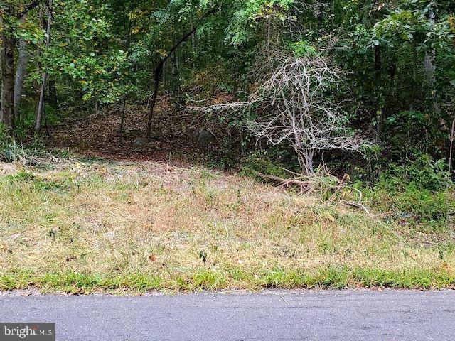 FREE STATE RD, MARSHALL, Virginia 20115, ,Land,For sale,FREE STATE RD,VAFQ2016682 MLS # VAFQ2016682