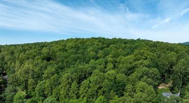 FREE STATE RD, MARSHALL, Virginia 20115, ,Land,For sale,FREE STATE RD,VAFQ2016682 MLS # VAFQ2016682