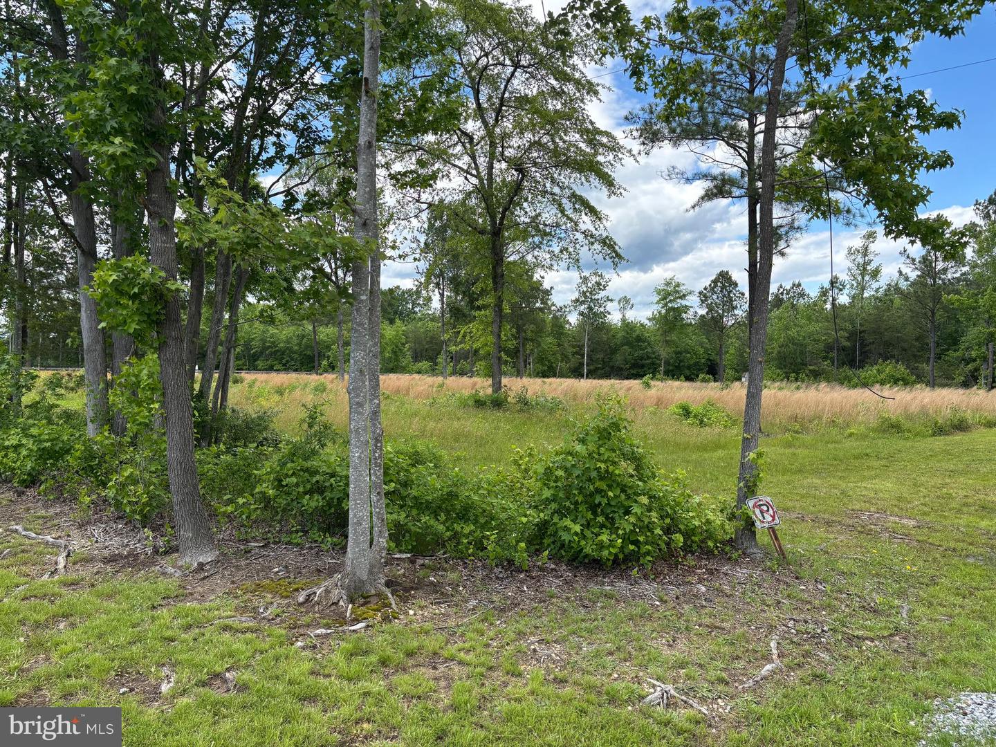 9901 ROBERT E LEE DR, SPOTSYLVANIA, Virginia 22551, ,Land,For sale,9901 ROBERT E LEE DR,VASP2033358 MLS # VASP2033358