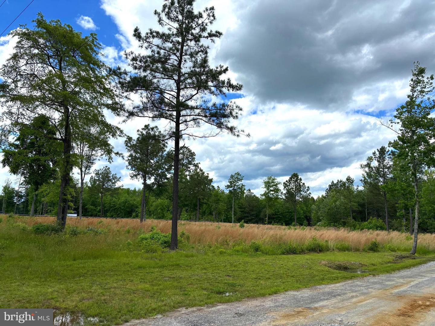 9901 ROBERT E LEE DR, SPOTSYLVANIA, Virginia 22551, ,Land,For sale,9901 ROBERT E LEE DR,VASP2033358 MLS # VASP2033358