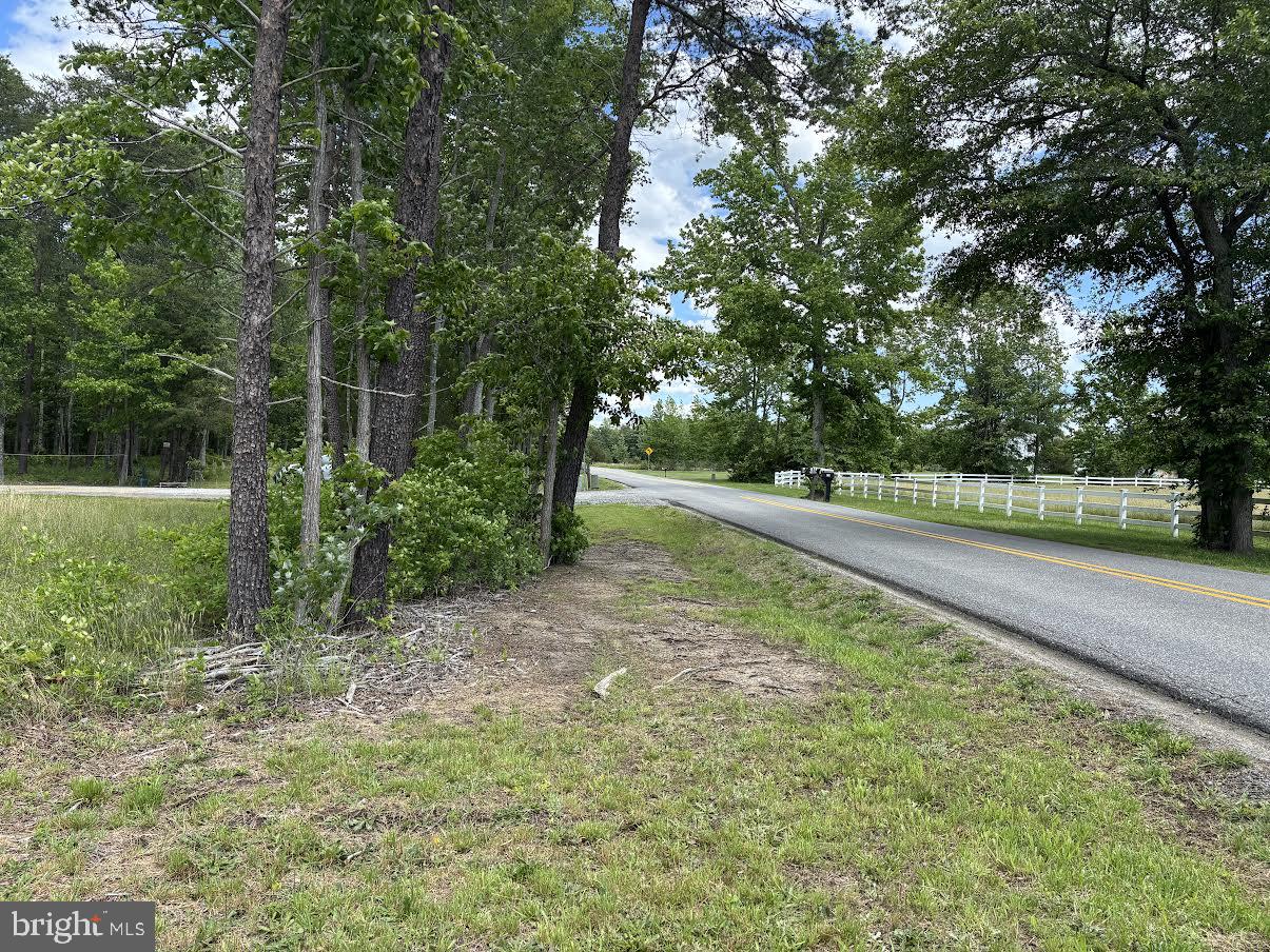 9901 ROBERT E LEE DR, SPOTSYLVANIA, Virginia 22551, ,Land,For sale,9901 ROBERT E LEE DR,VASP2033358 MLS # VASP2033358