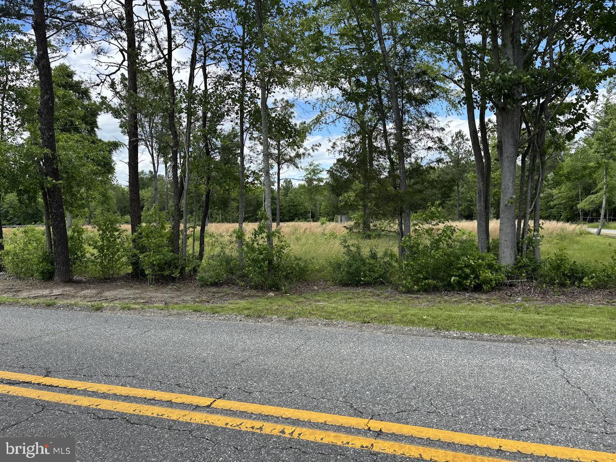 9901 ROBERT E LEE DR, SPOTSYLVANIA, Virginia 22551, ,Land,For sale,9901 ROBERT E LEE DR,VASP2033358 MLS # VASP2033358