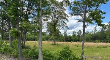 9901 ROBERT E LEE DR, SPOTSYLVANIA, Virginia 22551, ,Land,For sale,9901 ROBERT E LEE DR,VASP2033358 MLS # VASP2033358