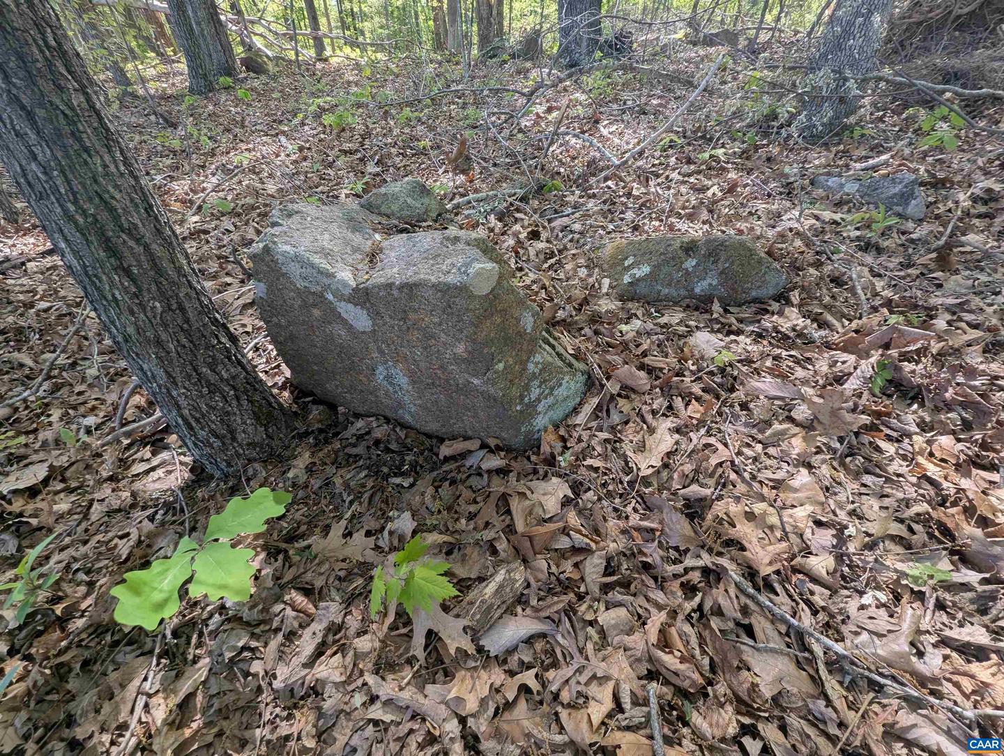 LOT 9 ADVANCE MILLS RD, RUCKERSVILLE, Virginia 22968, ,Land,For sale,LOT 9 ADVANCE MILLS RD,664924 MLS # 664924