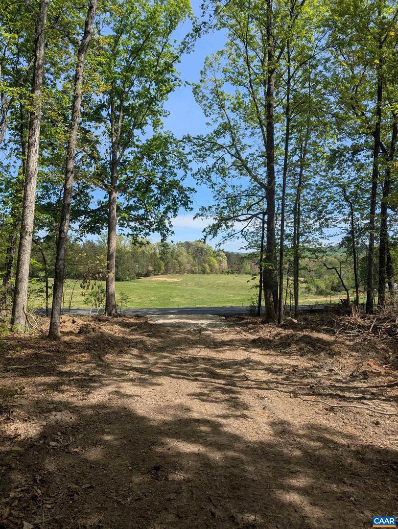 LOT 9 ADVANCE MILLS RD, RUCKERSVILLE, Virginia 22968, ,Land,For sale,LOT 9 ADVANCE MILLS RD,664924 MLS # 664924