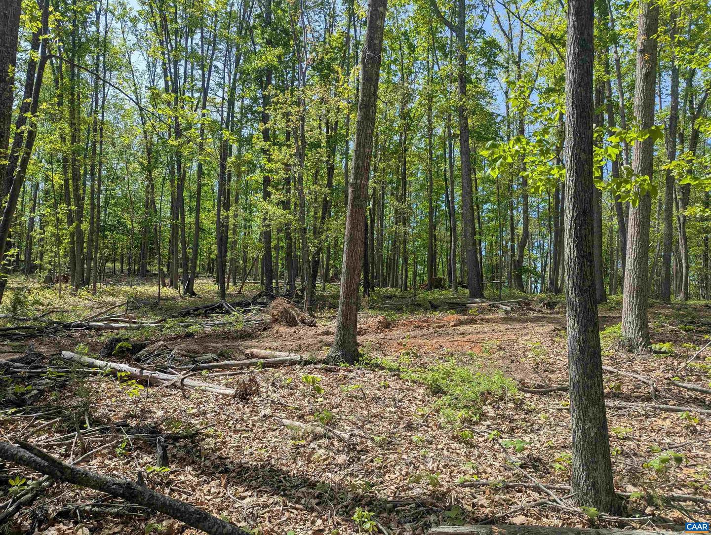 LOT 9 ADVANCE MILLS RD, RUCKERSVILLE, Virginia 22968, ,Land,For sale,LOT 9 ADVANCE MILLS RD,664924 MLS # 664924