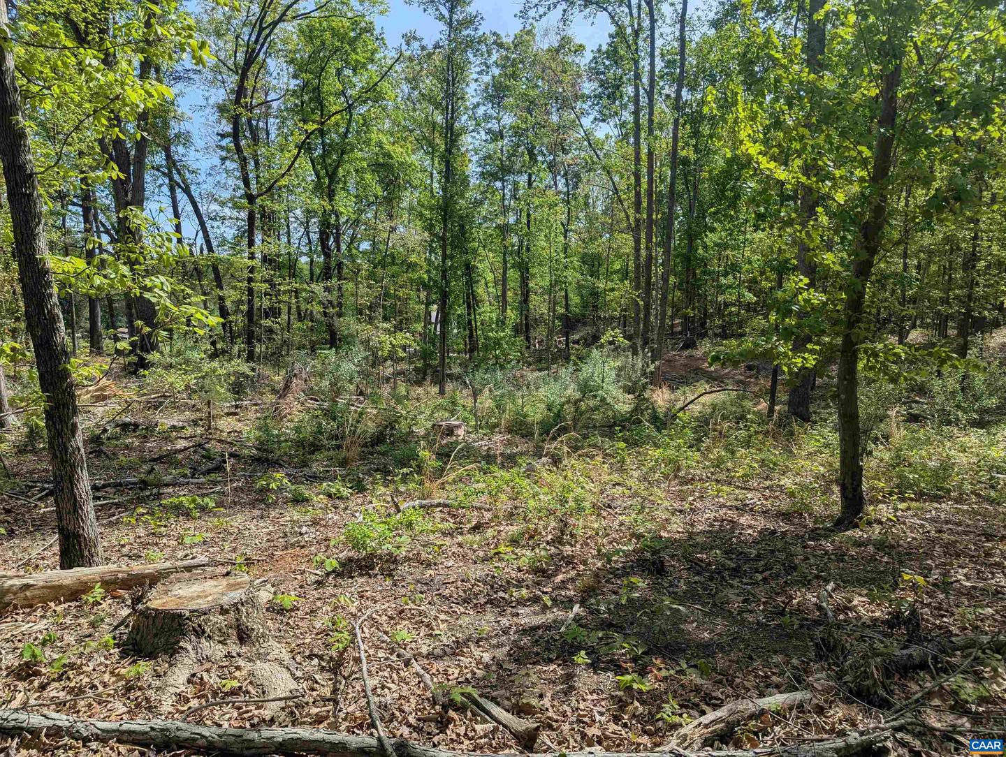LOT 9 ADVANCE MILLS RD, RUCKERSVILLE, Virginia 22968, ,Land,For sale,LOT 9 ADVANCE MILLS RD,664924 MLS # 664924