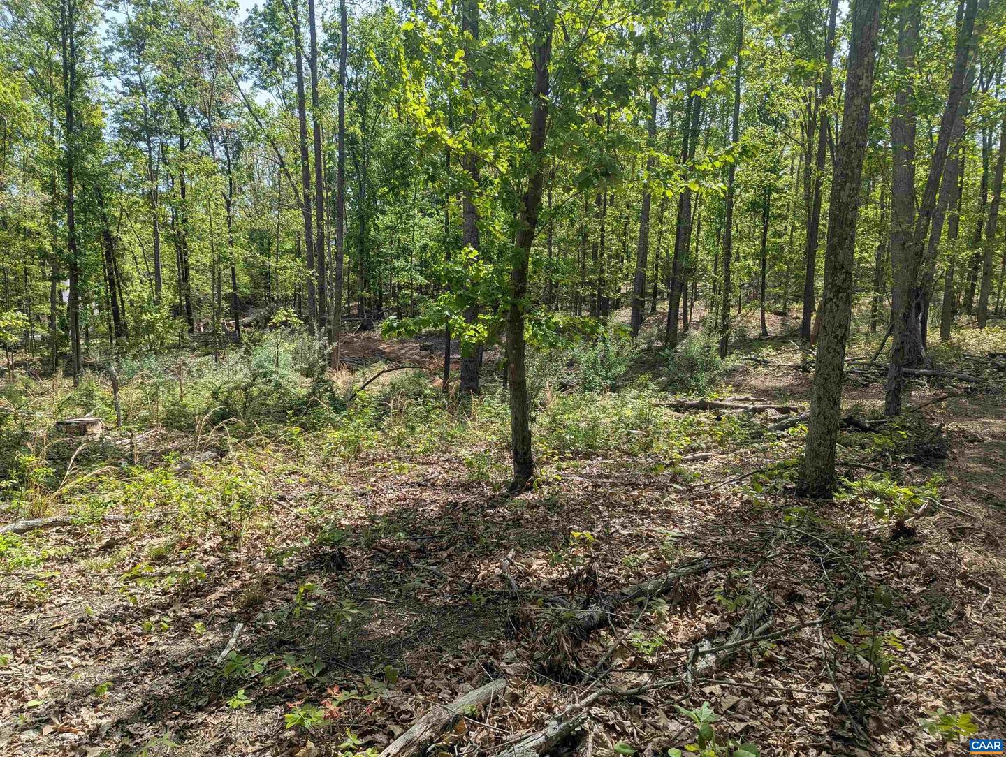 LOT 9 ADVANCE MILLS RD, RUCKERSVILLE, Virginia 22968, ,Land,For sale,LOT 9 ADVANCE MILLS RD,664924 MLS # 664924