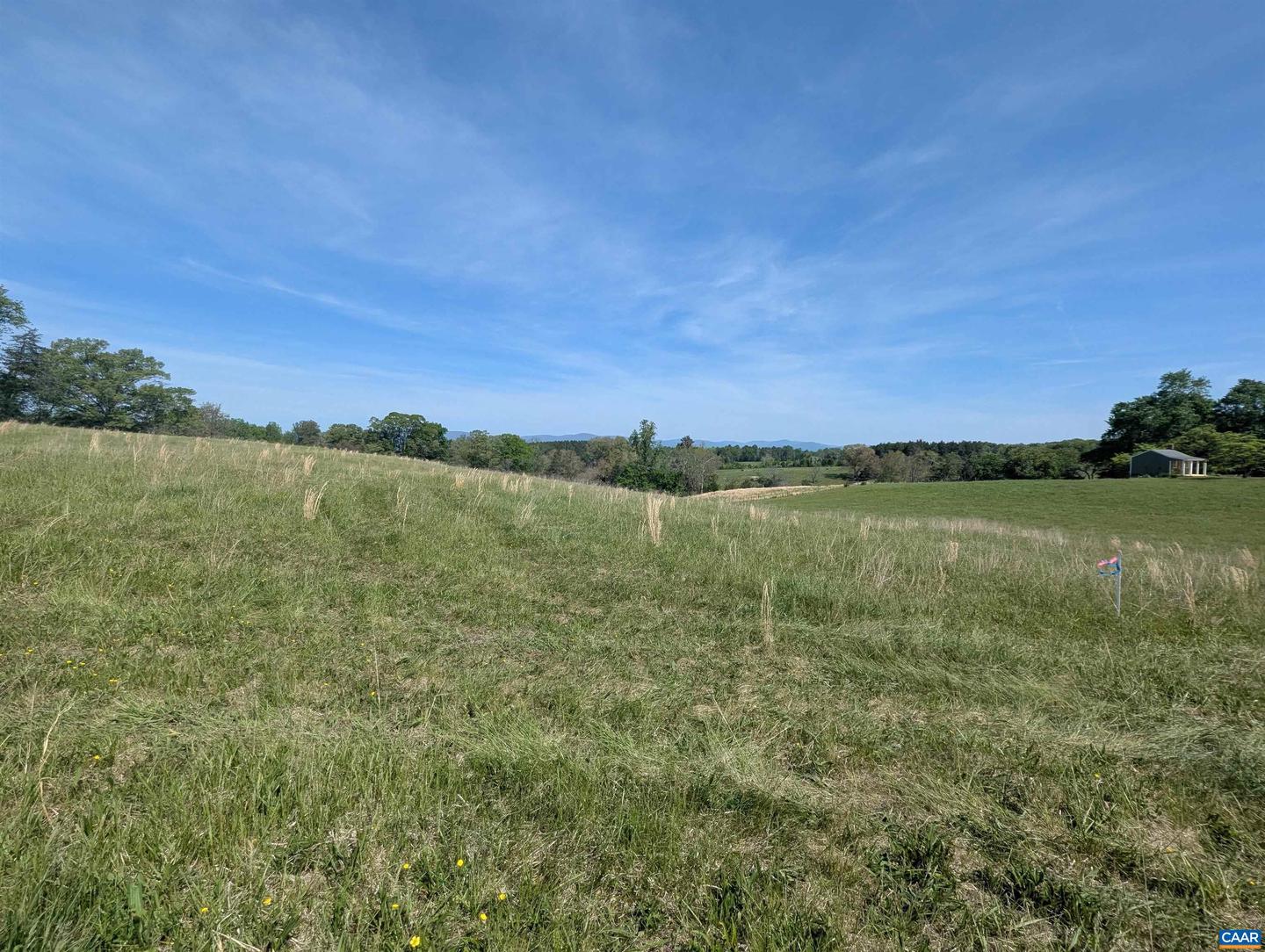 LOT 6 ADVANCE MILLS RD, RUCKERSVILLE, Virginia 22968, ,Land,For sale,LOT 6 ADVANCE MILLS RD,664927 MLS # 664927