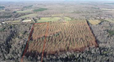 5 LAWYERS RD TRACT 4, SPOTSYLVANIA, Virginia 22551, ,Land,For sale,5 LAWYERS RD TRACT 4,VASP2033420 MLS # VASP2033420