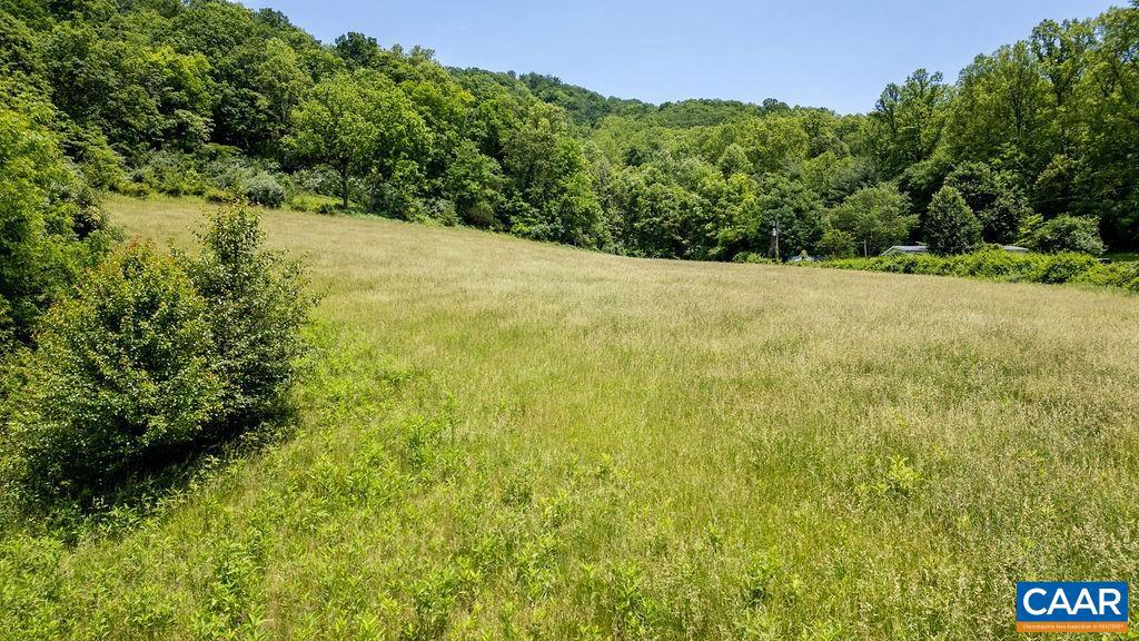 91 KIDD LN, ROSELAND, Virginia 22967, ,Farm,For sale,91 KIDD LN,664935 MLS # 664935