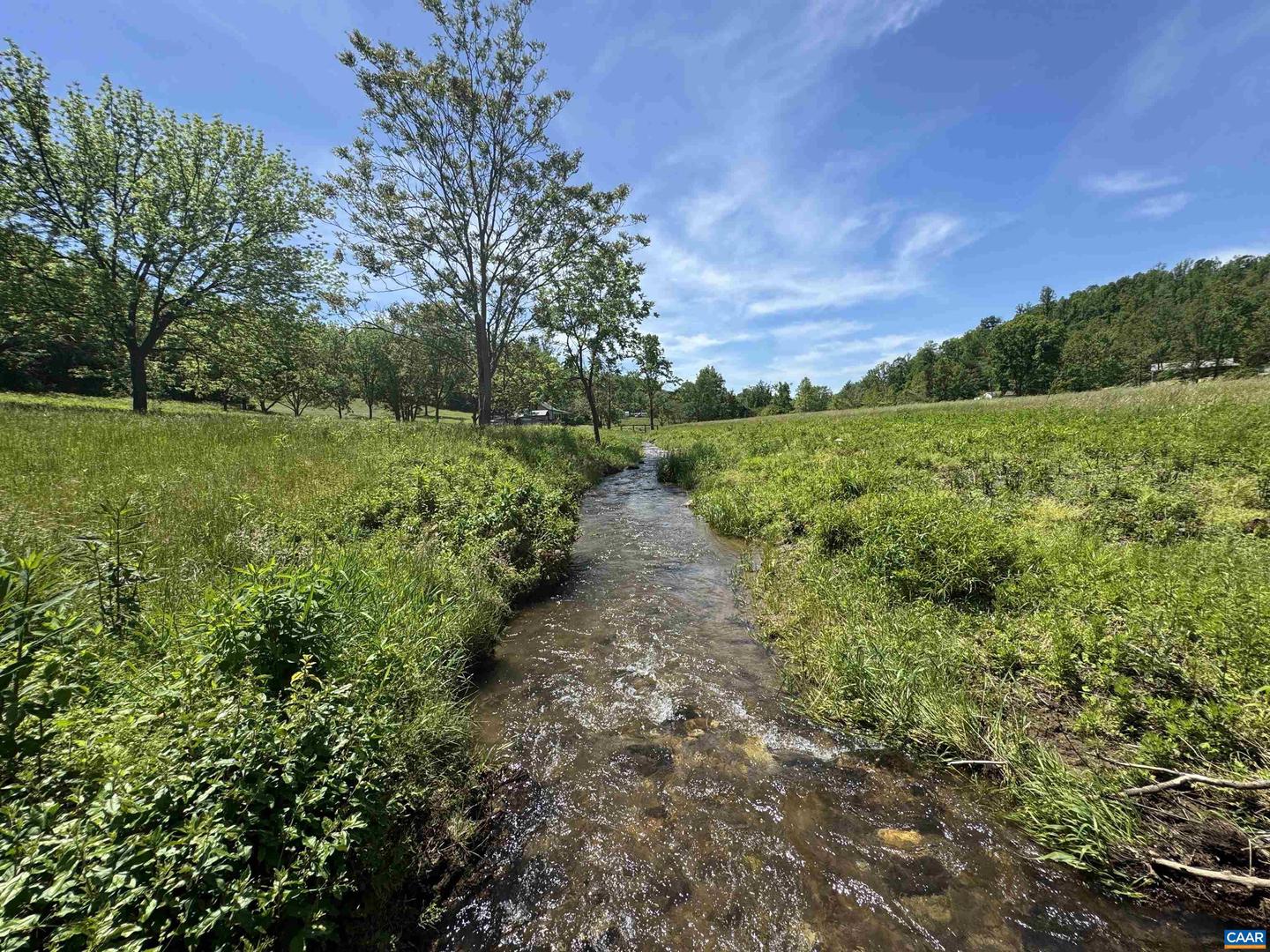 91 KIDD LN, ROSELAND, Virginia 22967, ,Farm,For sale,91 KIDD LN,664935 MLS # 664935