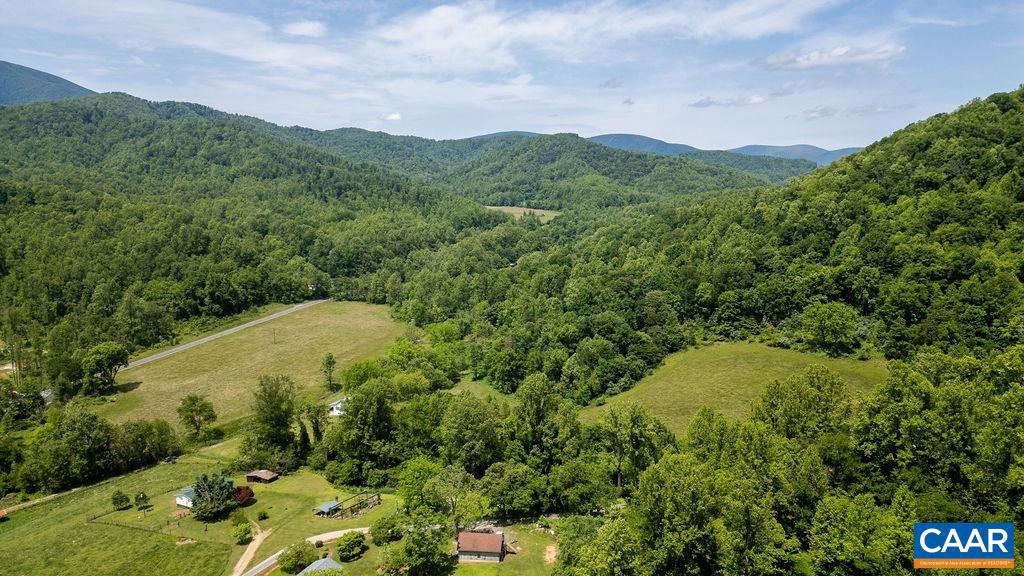 91 KIDD LN, ROSELAND, Virginia 22967, ,Farm,For sale,91 KIDD LN,664935 MLS # 664935
