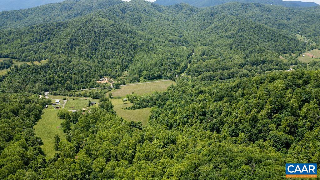 91 KIDD LN, ROSELAND, Virginia 22967, ,Farm,For sale,91 KIDD LN,664935 MLS # 664935