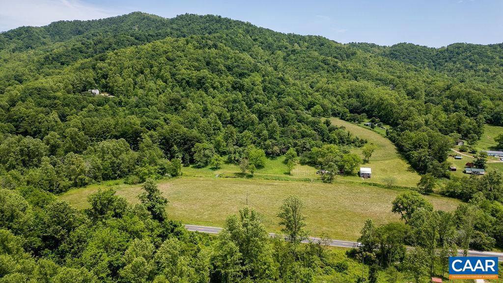 91 KIDD LN, ROSELAND, Virginia 22967, ,Farm,For sale,91 KIDD LN,664935 MLS # 664935