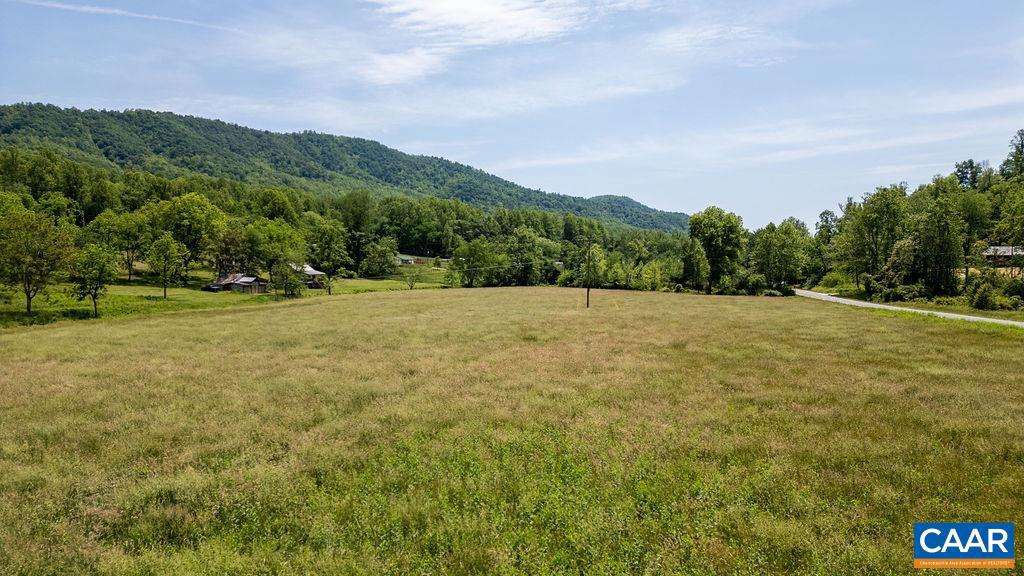91 KIDD LN, ROSELAND, Virginia 22967, ,Farm,For sale,91 KIDD LN,664935 MLS # 664935