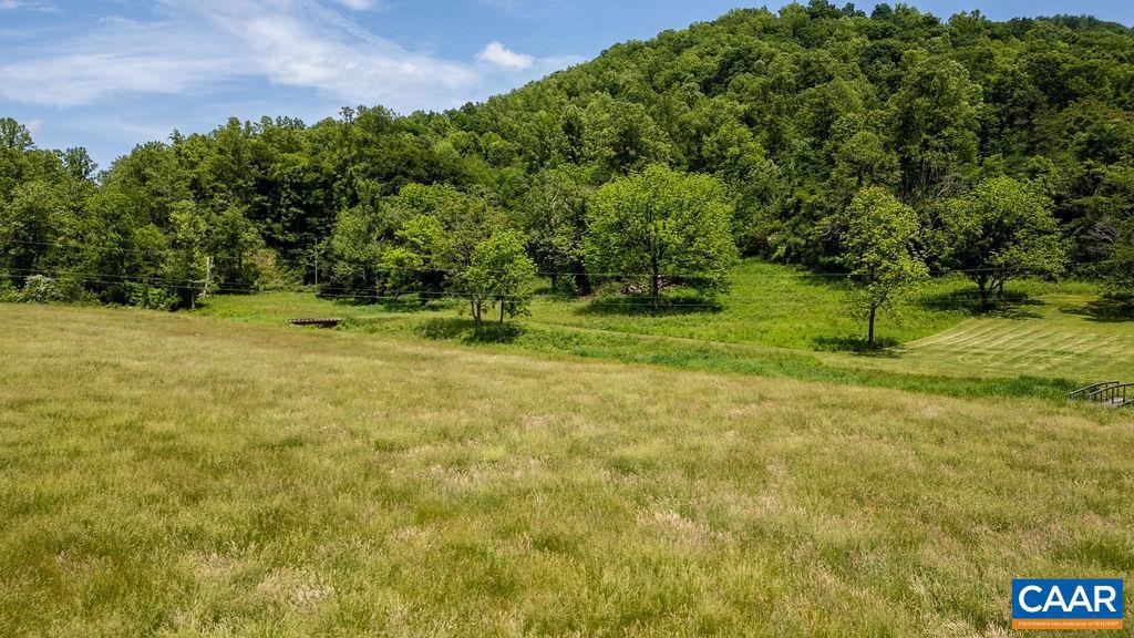 91 KIDD LN, ROSELAND, Virginia 22967, ,Farm,For sale,91 KIDD LN,664935 MLS # 664935