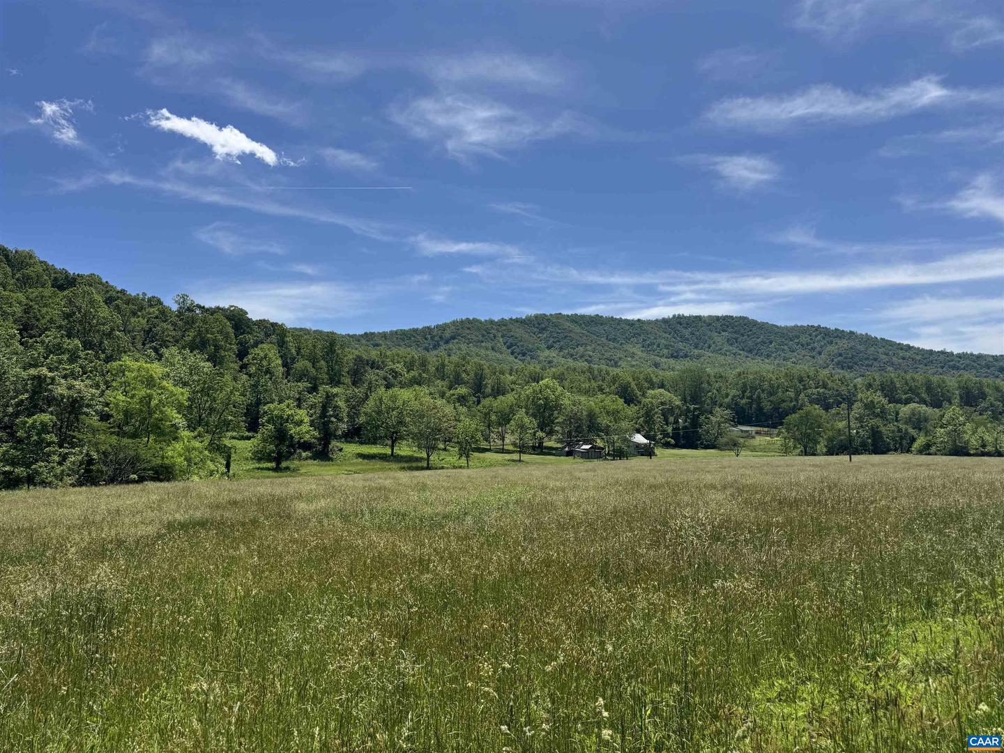 91 KIDD LN, ROSELAND, Virginia 22967, ,Farm,For sale,91 KIDD LN,664935 MLS # 664935