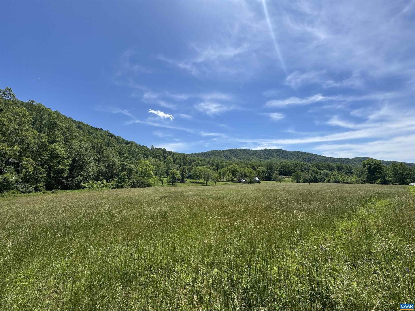 91 KIDD LN, ROSELAND, Virginia 22967, ,Farm,For sale,91 KIDD LN,664935 MLS # 664935