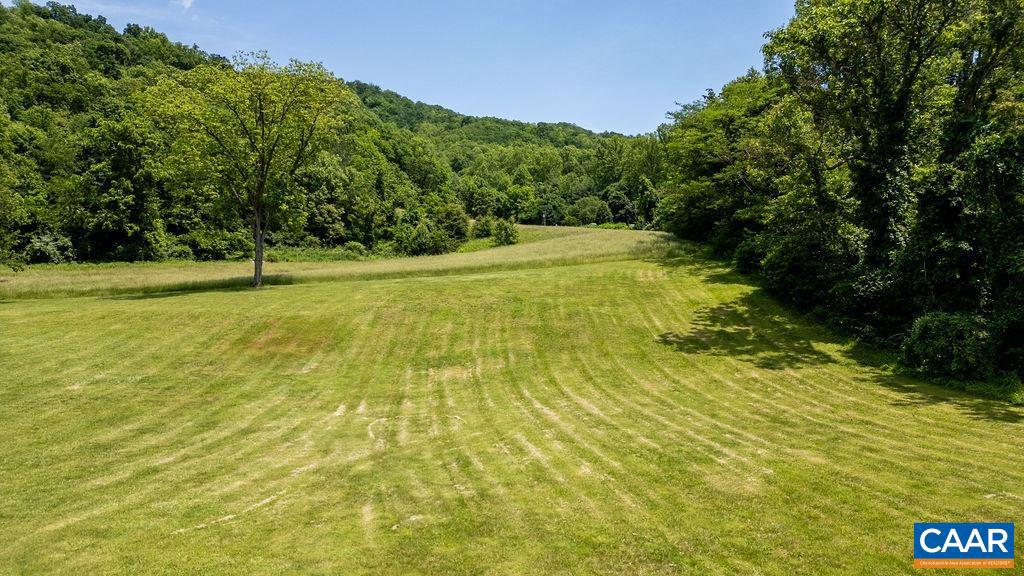 91 KIDD LN, ROSELAND, Virginia 22967, ,Farm,For sale,91 KIDD LN,664935 MLS # 664935