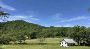 91 KIDD LN, ROSELAND, Virginia 22967, ,Farm,For sale,91 KIDD LN,664935 MLS # 664935