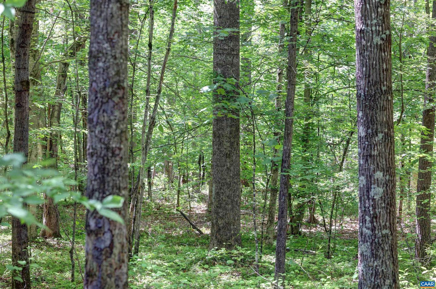 LOT E LINK EVANS LN #E, EARLYSVILLE, Virginia 22936, ,Land,For sale,LOT E LINK EVANS LN #E,664944 MLS # 664944