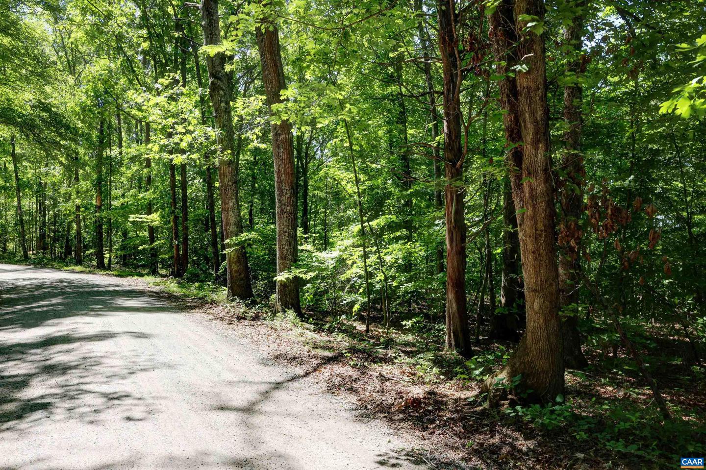 LOT D LINK EVANS LN #D, EARLYSVILLE, Virginia 22936, ,Land,For sale,LOT D LINK EVANS LN #D,664946 MLS # 664946