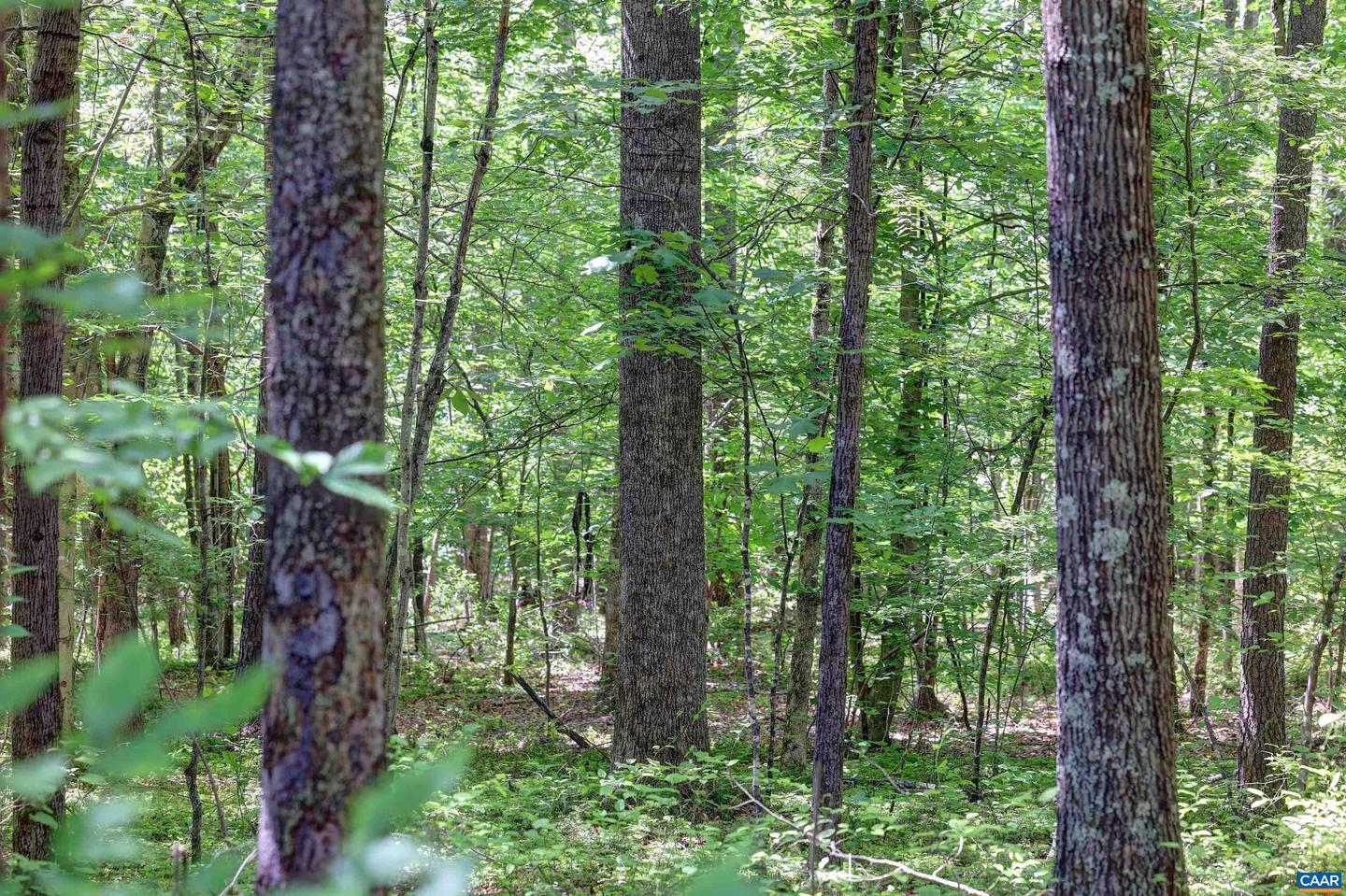 LOT D LINK EVANS LN #D, EARLYSVILLE, Virginia 22936, ,Land,For sale,LOT D LINK EVANS LN #D,664946 MLS # 664946