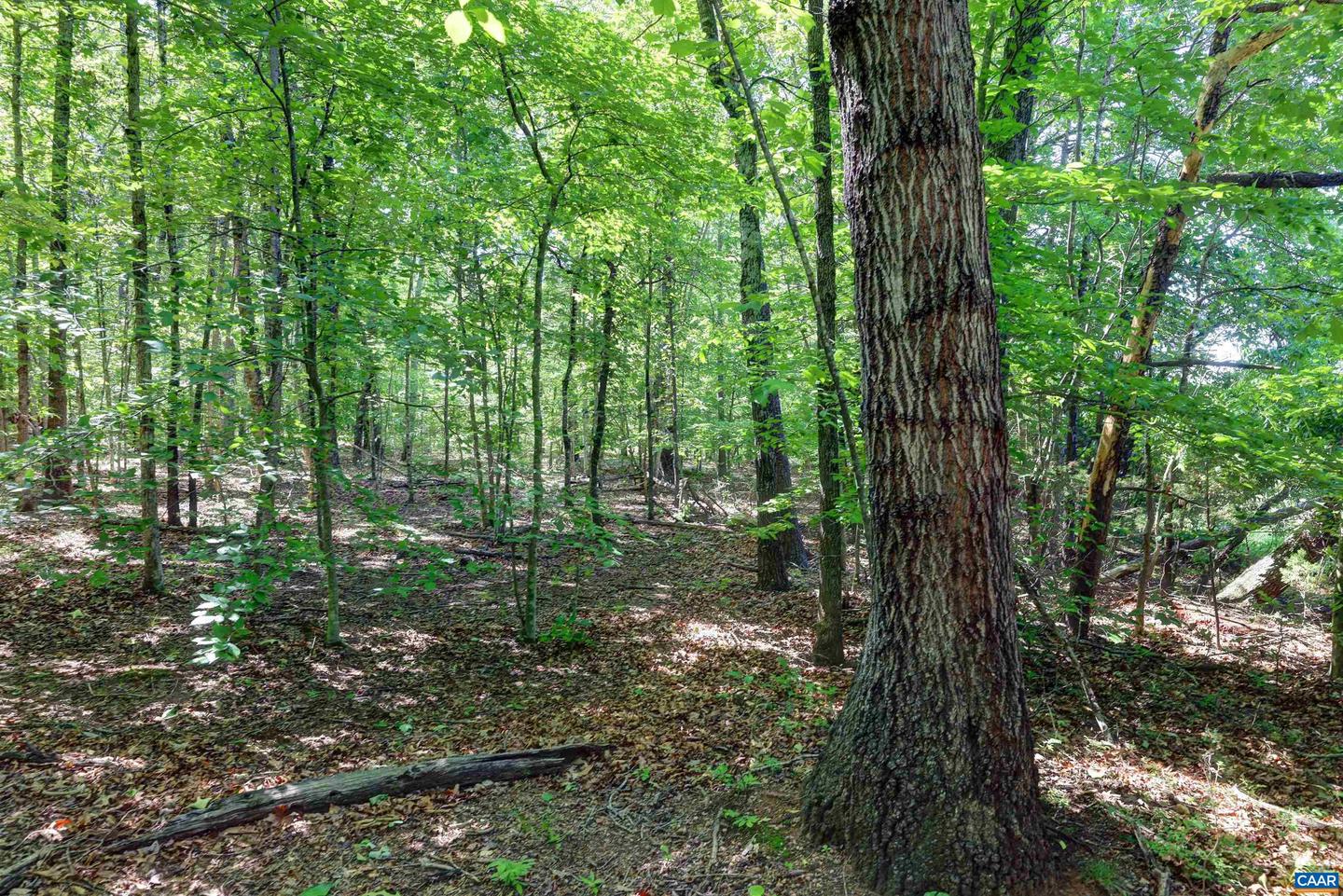 LOT D LINK EVANS LN #D, EARLYSVILLE, Virginia 22936, ,Land,For sale,LOT D LINK EVANS LN #D,664946 MLS # 664946