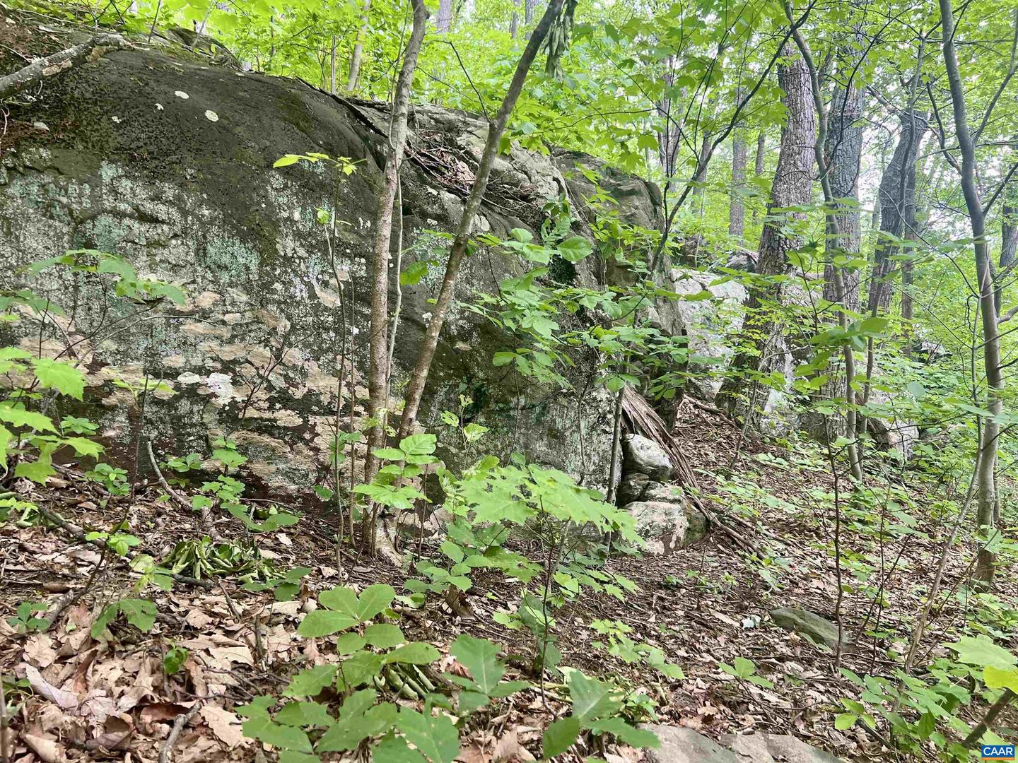 631 FAR KNOB CLIMB, NELLYSFORD, Virginia 22958, ,Land,For sale,631 FAR KNOB CLIMB,664947 MLS # 664947