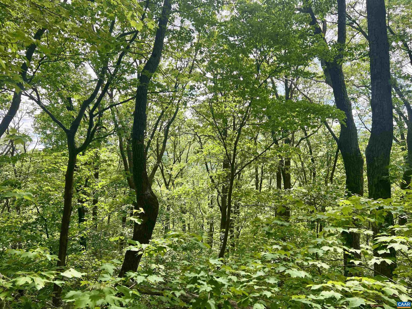 631 FAR KNOB CLIMB, NELLYSFORD, Virginia 22958, ,Land,For sale,631 FAR KNOB CLIMB,664947 MLS # 664947