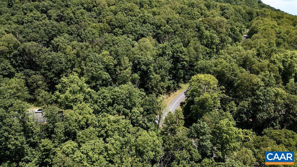 631 FAR KNOB CLIMB, NELLYSFORD, Virginia 22958, ,Land,For sale,631 FAR KNOB CLIMB,664947 MLS # 664947