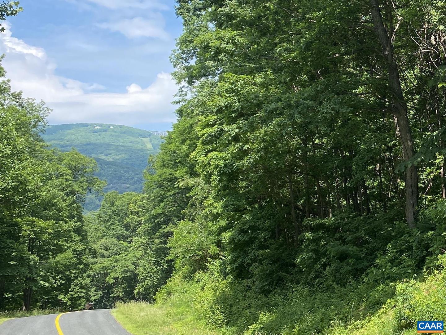 711 FAR KNOB CLIMB, NELLYSFORD, Virginia 22958, ,Land,For sale,711 FAR KNOB CLIMB,664948 MLS # 664948