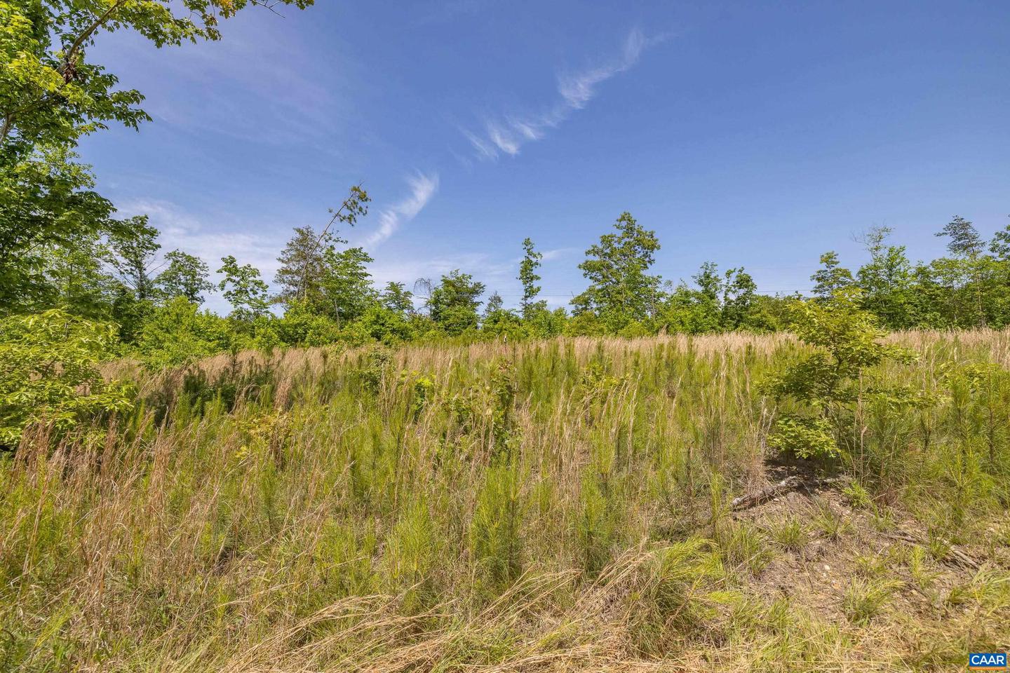LOT 3 SHARPS CREEK RD, SCOTTSVILLE, Virginia 24590, ,Land,For sale,LOT 3 SHARPS CREEK RD,664952 MLS # 664952