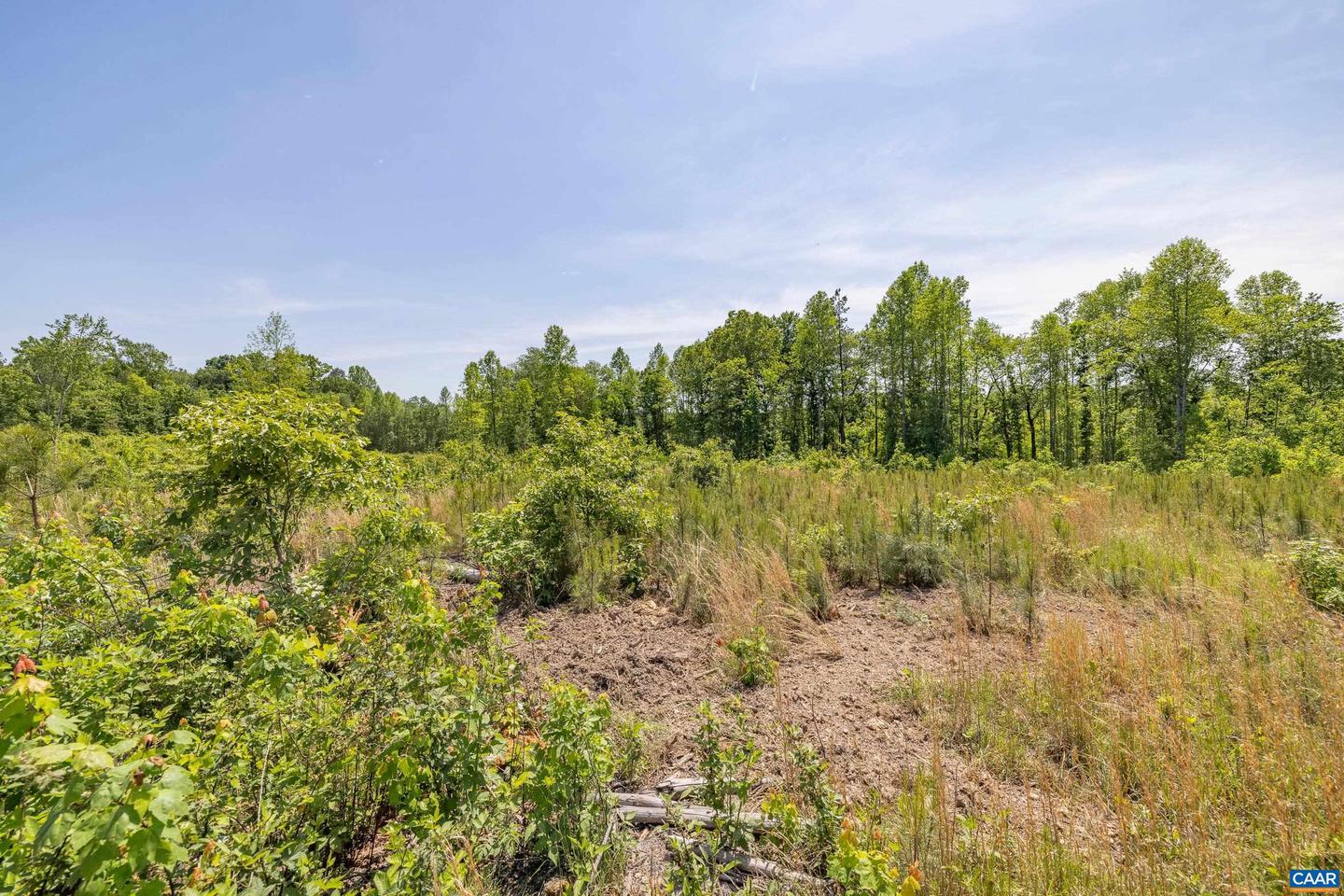LOT 3 SHARPS CREEK RD, SCOTTSVILLE, Virginia 24590, ,Land,For sale,LOT 3 SHARPS CREEK RD,664952 MLS # 664952