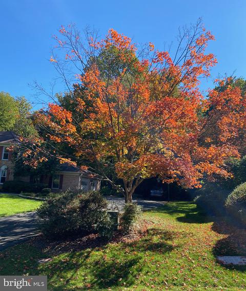 981 OLD HOLLY DR, GREAT FALLS, Virginia 22066, 5 Bedrooms Bedrooms, ,3 BathroomsBathrooms,Residential,For sale,981 OLD HOLLY DR,VAFX2242086 MLS # VAFX2242086