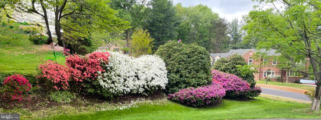 981 OLD HOLLY DR, GREAT FALLS, Virginia 22066, 5 Bedrooms Bedrooms, ,3 BathroomsBathrooms,Residential,For sale,981 OLD HOLLY DR,VAFX2242086 MLS # VAFX2242086