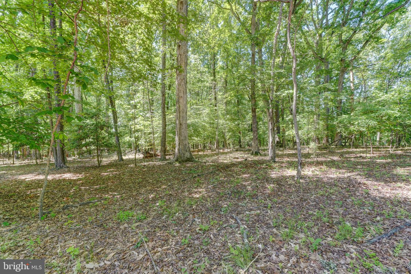 50 RETRIEVER CT, BUMPASS, Virginia 23024, 4 Bedrooms Bedrooms, 14 Rooms Rooms,3 BathroomsBathrooms,Residential,For sale,50 RETRIEVER CT,VALA2007906 MLS # VALA2007906