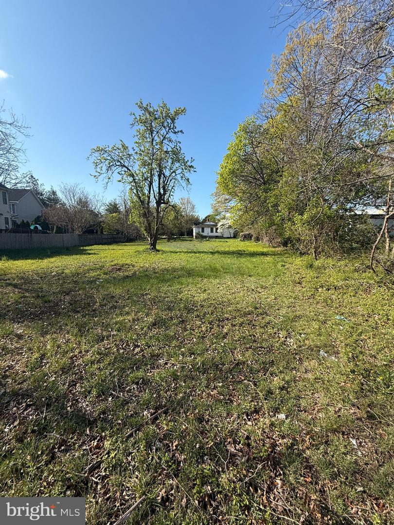 5941 4TH ST S, ARLINGTON, Virginia 22204, 2 Bedrooms Bedrooms, ,1 BathroomBathrooms,Residential,For sale,5941 4TH ST S,VAAR2058142 MLS # VAAR2058142