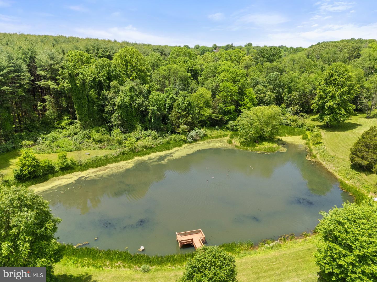23424 SALLY MILL RD, MIDDLEBURG, Virginia 20117, 4 Bedrooms Bedrooms, ,4 BathroomsBathrooms,Residential,For sale,23424 SALLY MILL RD,VALO2097656 MLS # VALO2097656