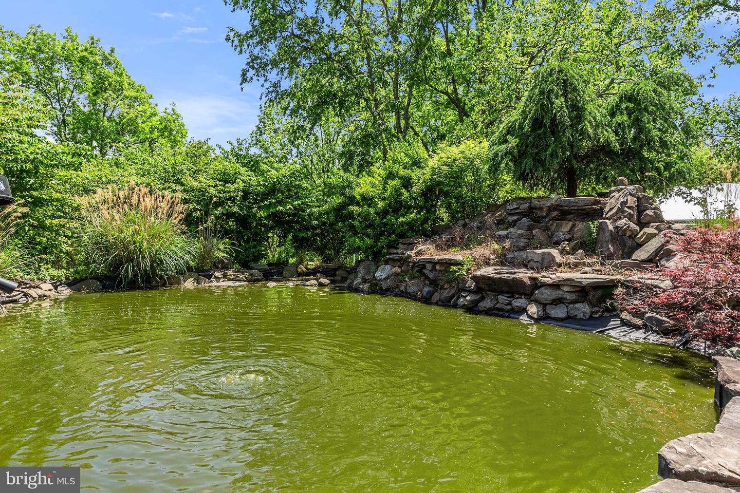 23424 SALLY MILL RD, MIDDLEBURG, Virginia 20117, 4 Bedrooms Bedrooms, ,4 BathroomsBathrooms,Residential,For sale,23424 SALLY MILL RD,VALO2097656 MLS # VALO2097656