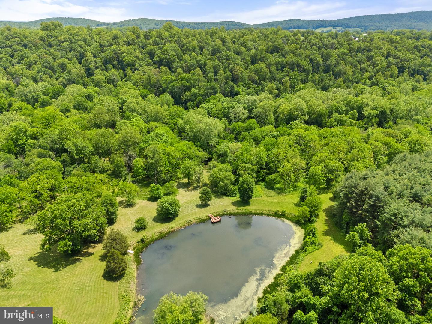 23424 SALLY MILL RD, MIDDLEBURG, Virginia 20117, 4 Bedrooms Bedrooms, ,4 BathroomsBathrooms,Residential,For sale,23424 SALLY MILL RD,VALO2097656 MLS # VALO2097656