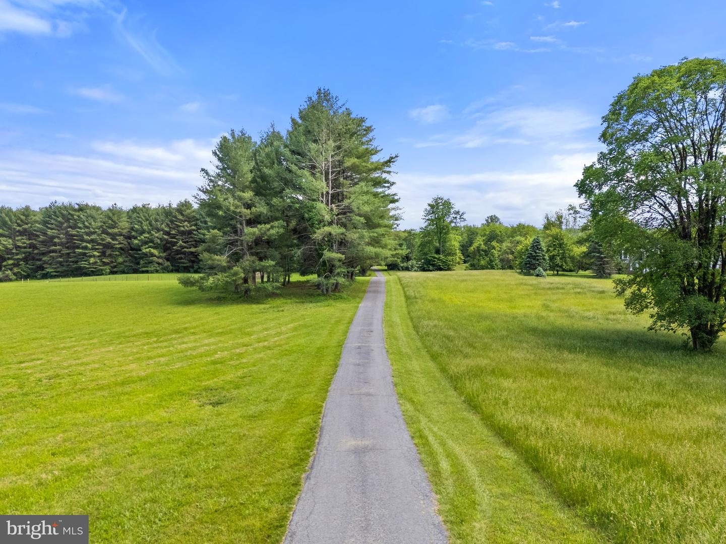 23424 SALLY MILL RD, MIDDLEBURG, Virginia 20117, 4 Bedrooms Bedrooms, ,4 BathroomsBathrooms,Residential,For sale,23424 SALLY MILL RD,VALO2097656 MLS # VALO2097656