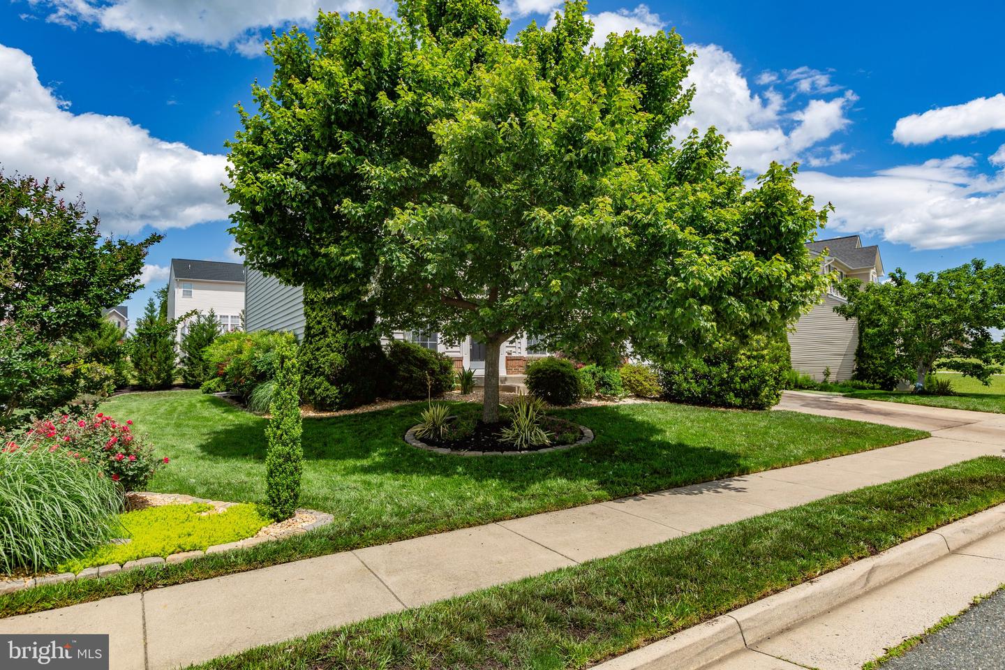 9016 LAUREL OAK LN, FREDERICKSBURG, Virginia 22407, 4 Bedrooms Bedrooms, ,2 BathroomsBathrooms,Residential,For sale,9016 LAUREL OAK LN,VASP2033190 MLS # VASP2033190