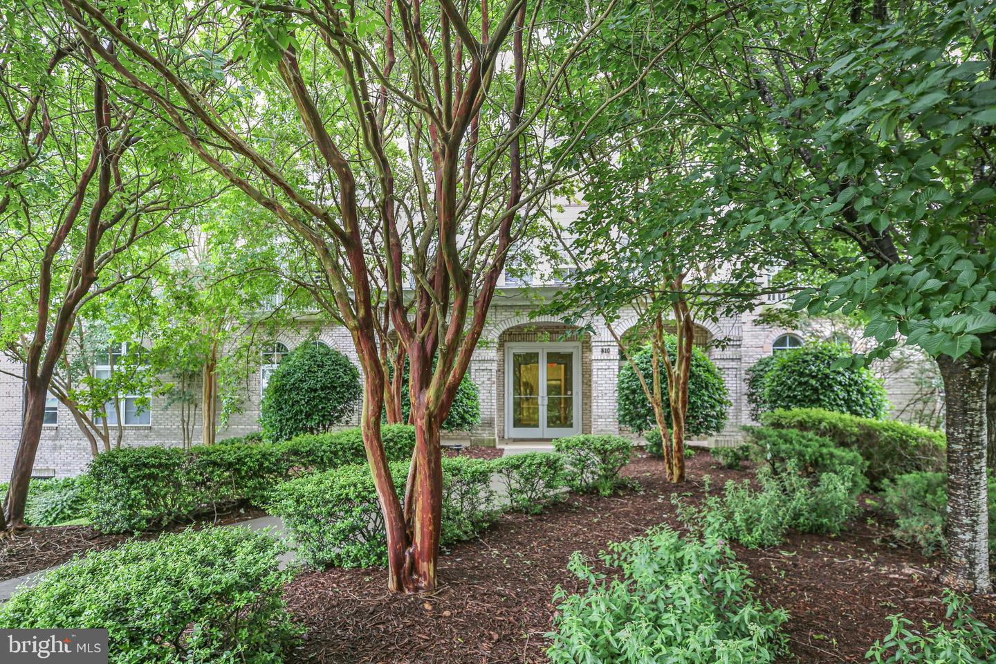 810 BELMONT BAY DR #303, WOODBRIDGE, Virginia 22191, 1 Bedroom Bedrooms, ,1 BathroomBathrooms,Residential,For sale,810 BELMONT BAY DR #303,VAPW2094960 MLS # VAPW2094960