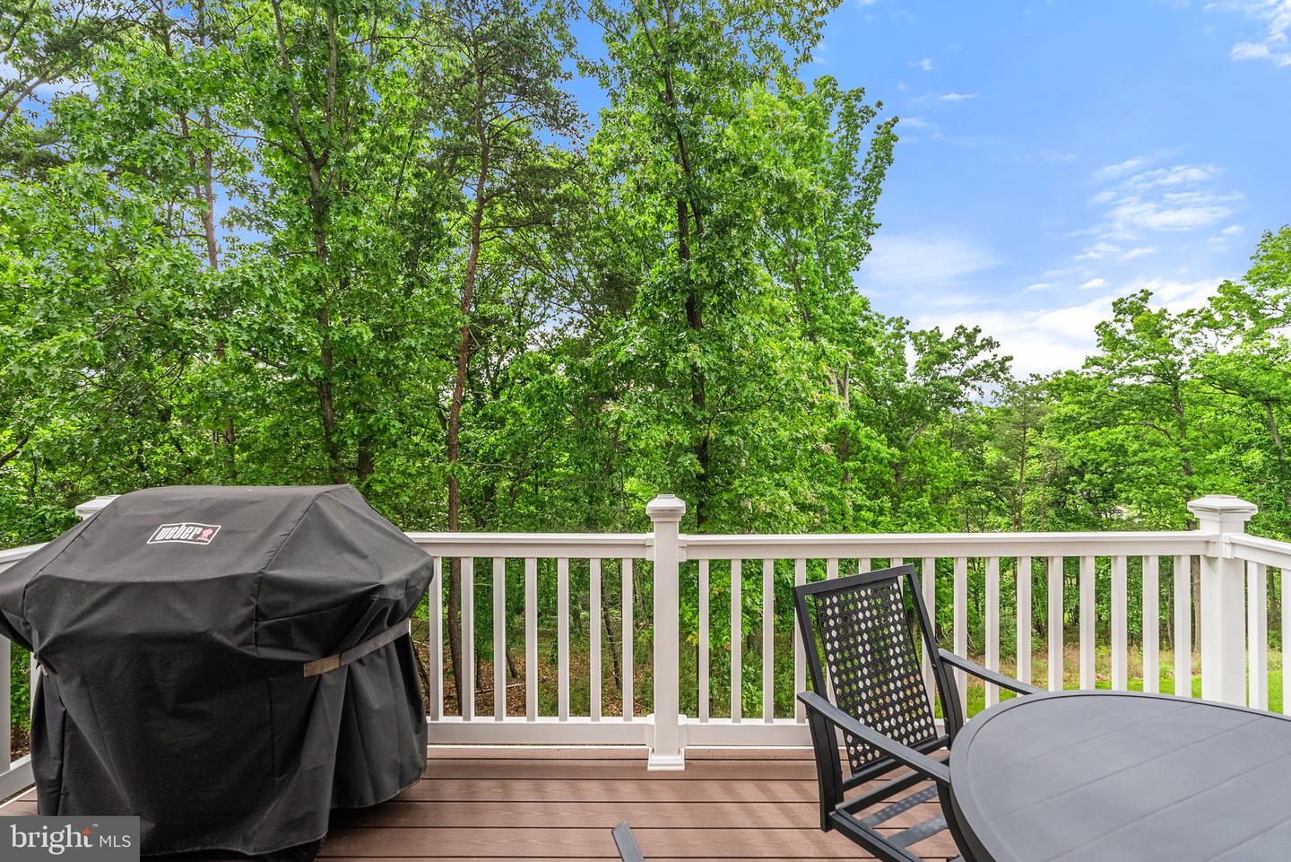 120 BAYHILL TER, LAKE FREDERICK, Virginia 22630, 3 Bedrooms Bedrooms, ,2 BathroomsBathrooms,Residential,For sale,120 BAYHILL TER,VAFV2034244 MLS # VAFV2034244
