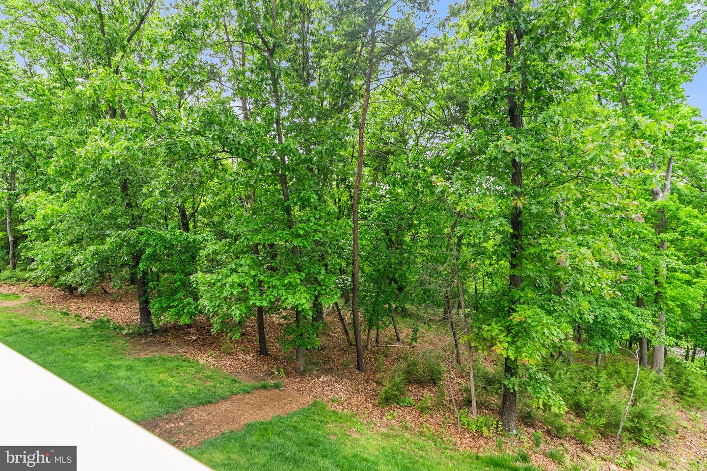 120 BAYHILL TER, LAKE FREDERICK, Virginia 22630, 3 Bedrooms Bedrooms, ,2 BathroomsBathrooms,Residential,For sale,120 BAYHILL TER,VAFV2034244 MLS # VAFV2034244