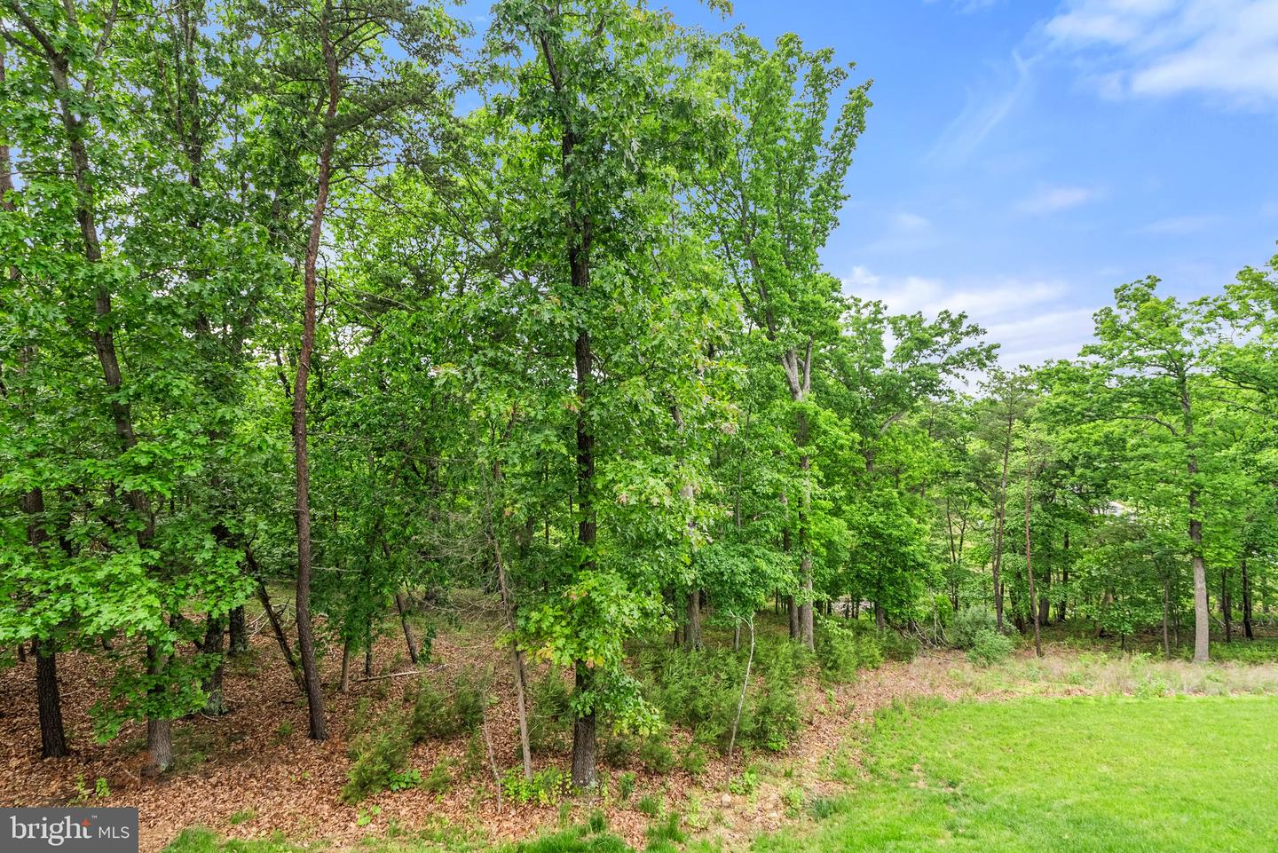 120 BAYHILL TER, LAKE FREDERICK, Virginia 22630, 3 Bedrooms Bedrooms, ,2 BathroomsBathrooms,Residential,For sale,120 BAYHILL TER,VAFV2034244 MLS # VAFV2034244