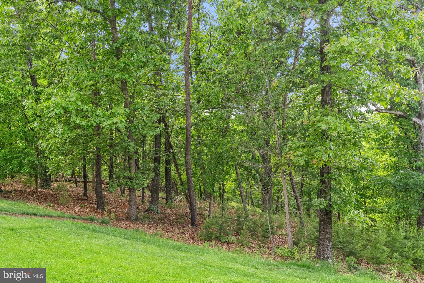 120 BAYHILL TER, LAKE FREDERICK, Virginia 22630, 3 Bedrooms Bedrooms, ,2 BathroomsBathrooms,Residential,For sale,120 BAYHILL TER,VAFV2034244 MLS # VAFV2034244