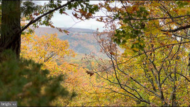 267 BUSHY RIDGE DR, STAR TANNERY, Virginia 22654, 2 Bedrooms Bedrooms, ,1 BathroomBathrooms,Residential,For sale,267 BUSHY RIDGE DR,VAFV2034310 MLS # VAFV2034310